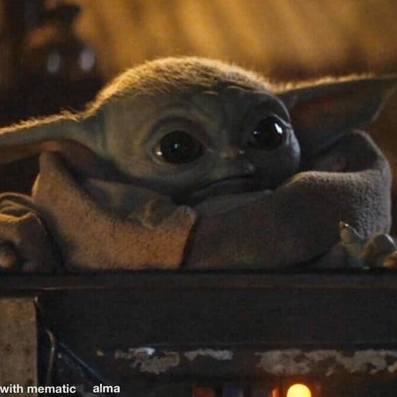 Meet your Posher, Jasmin - Picture 1 of 1